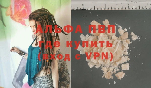 дмт Алзамай