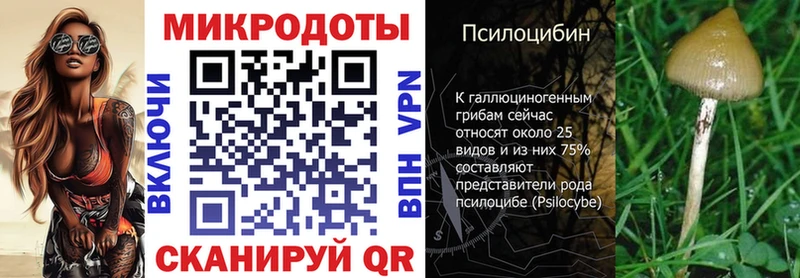 Галлюциногенные грибы мицелий  Петровск 