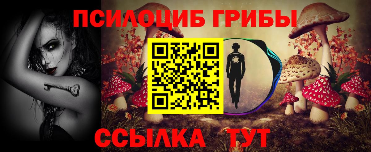 Петровск  Псилоцибиновые грибы мицелий  Вход с VPN 